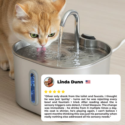 Sleepure™ - The Only Fountain For Cats Who've Rejected Everything