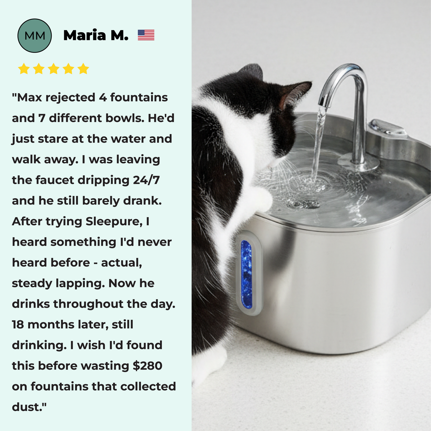Sleepure™ - The Only Fountain For Cats Who've Rejected Everything